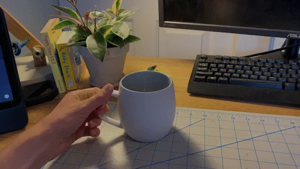 Cup animation