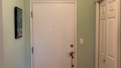Door animation